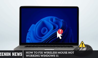 How to Fix Wireless Mouse Not Working Windows 11