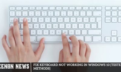 Fix Keyboard Not Working in Windows 10 [Tested Methods]