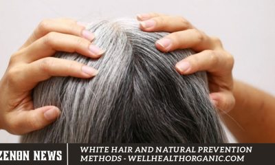 White Hair and Natural Prevention Methods - Wellhealthorganic.com